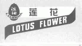 莲花;LOTUS FLOWER