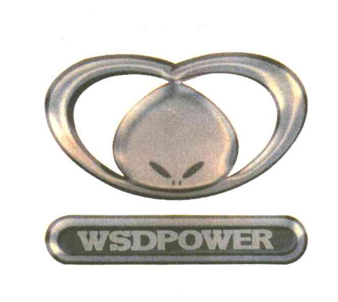WSDPOWER