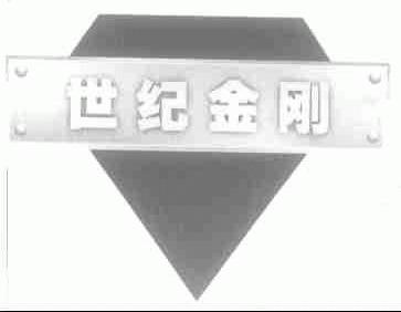 世纪金刚