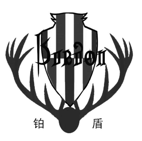 铂盾 SIIBIIOII