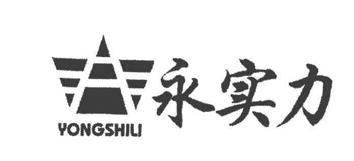 永实力