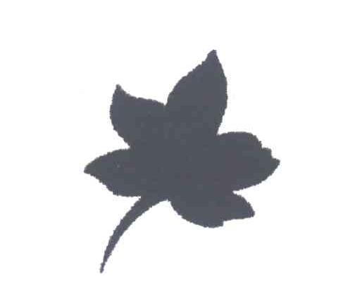 图形
