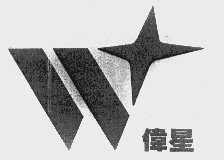 伟星