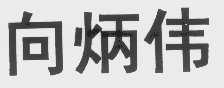 向炳伟