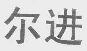 尔进