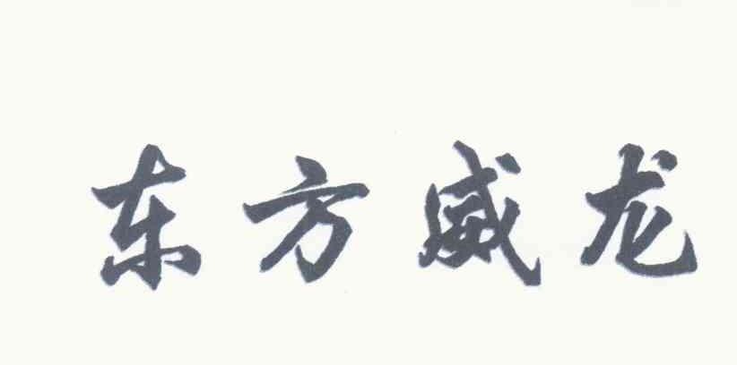 东方威龙