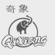 奇象