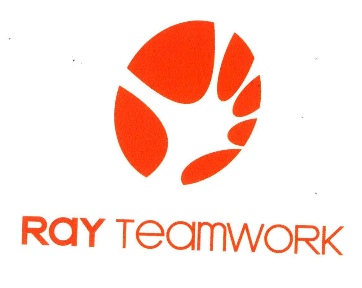 RAY TEAMWORK