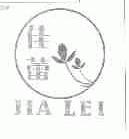 佳蕾