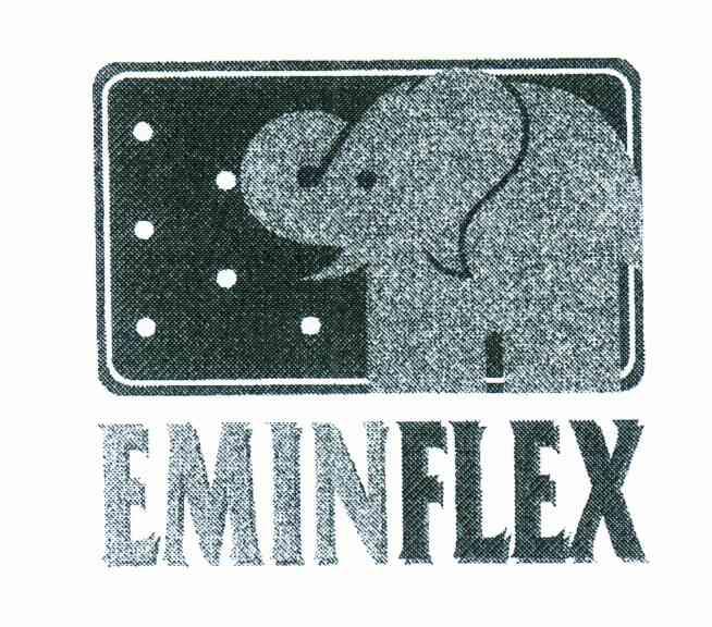 EMINFLEX