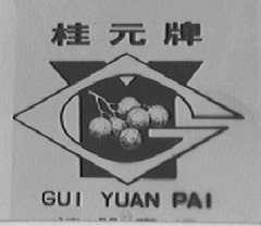 桂元