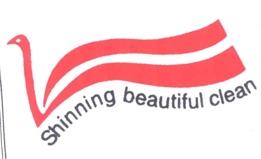 SHINNING BEAUTIFUL CLEAN