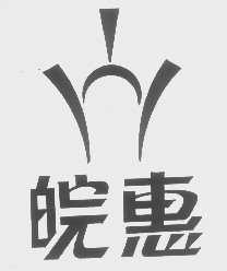 皖惠