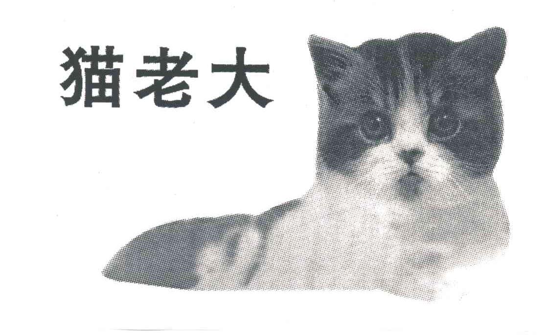 猫老大