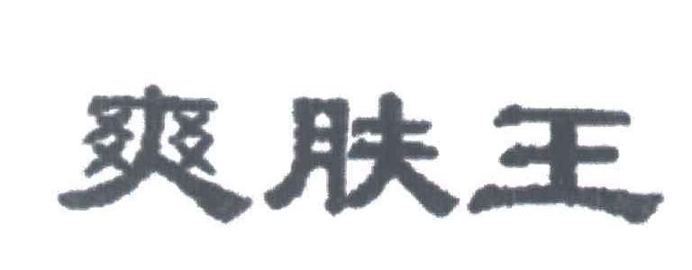 爽肤王