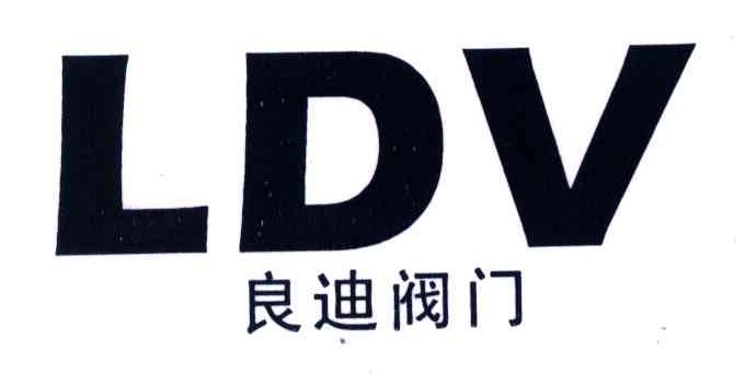 良迪;LDV