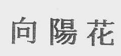 向阳花