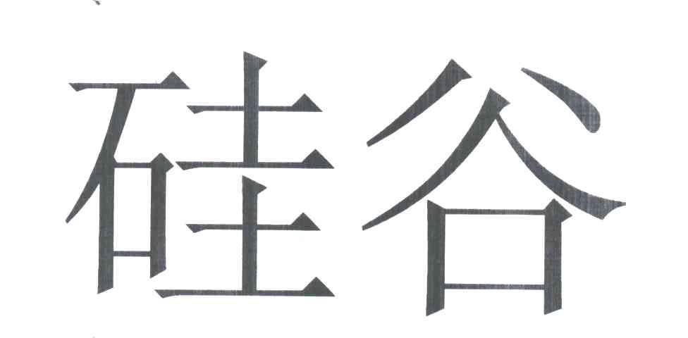 硅谷