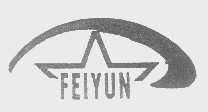 FEIYUN