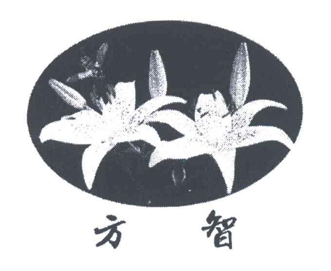 方智