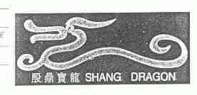 殷鼎宝龙;SHANG DRAGON