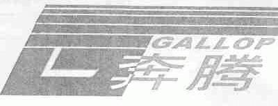 奔腾;GALLOP