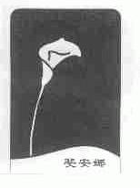 斐安娜