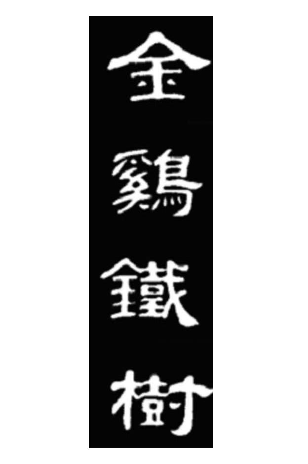 金鸡铁树