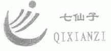 七仙子