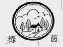 绿茵
