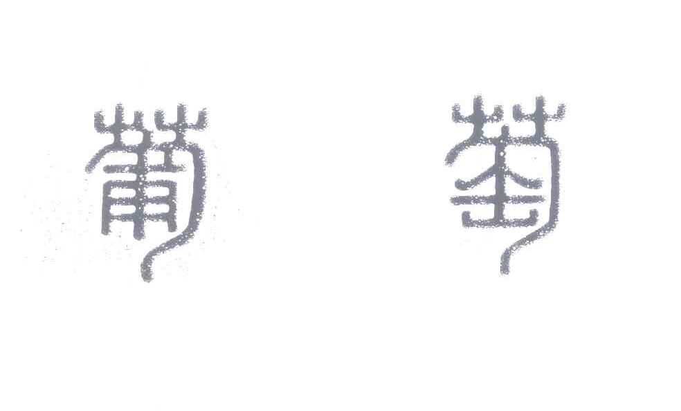 葡萄