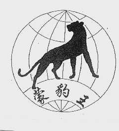蒙豹王