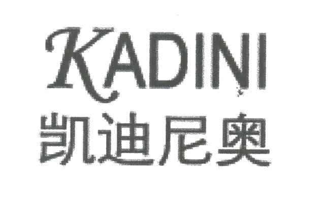 凯迪尼奥KADINI