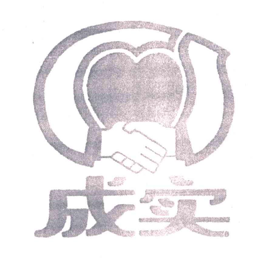 成实