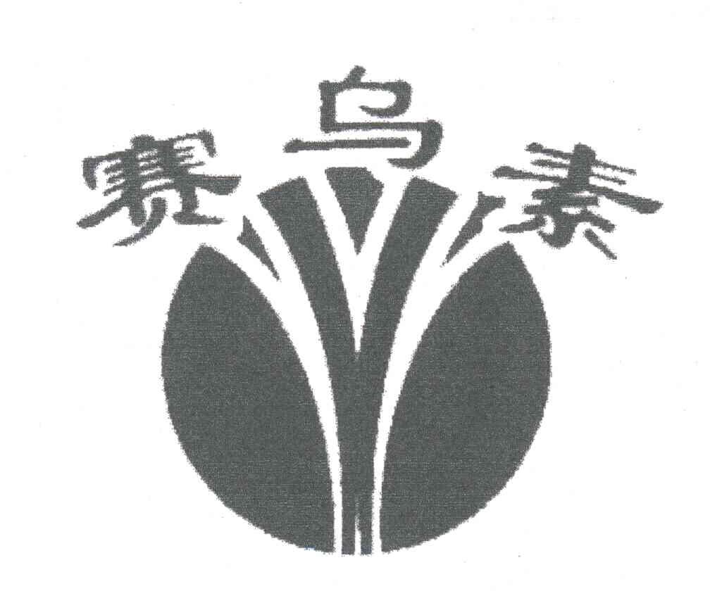 赛乌素