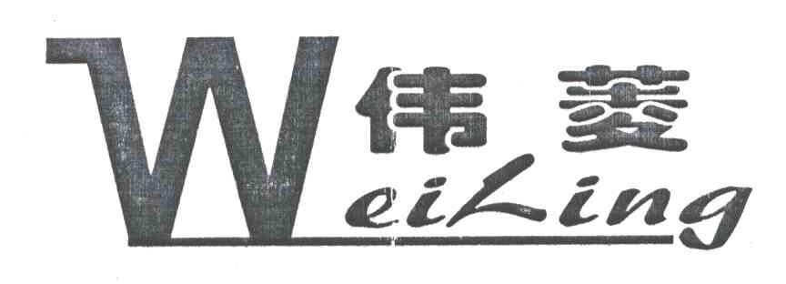 伟菱