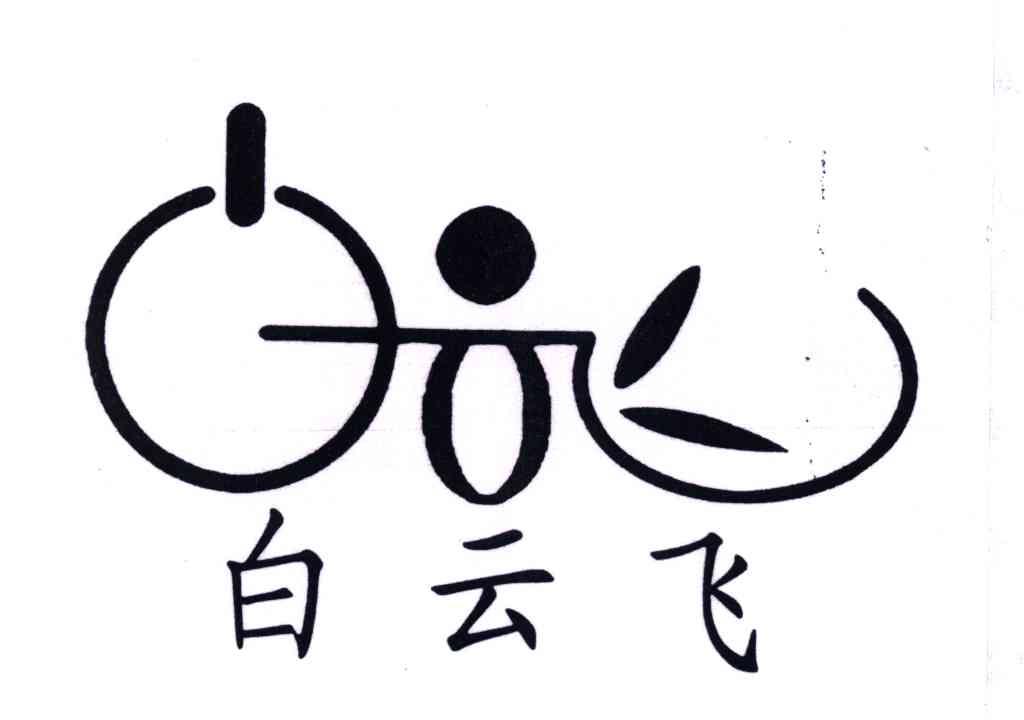 白云飞