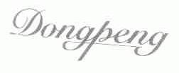 DONGPENG
