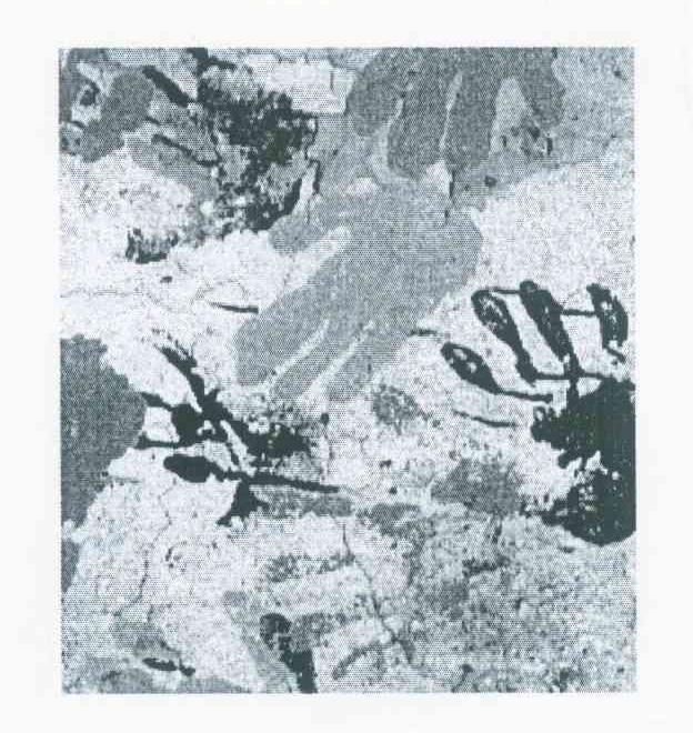 图形