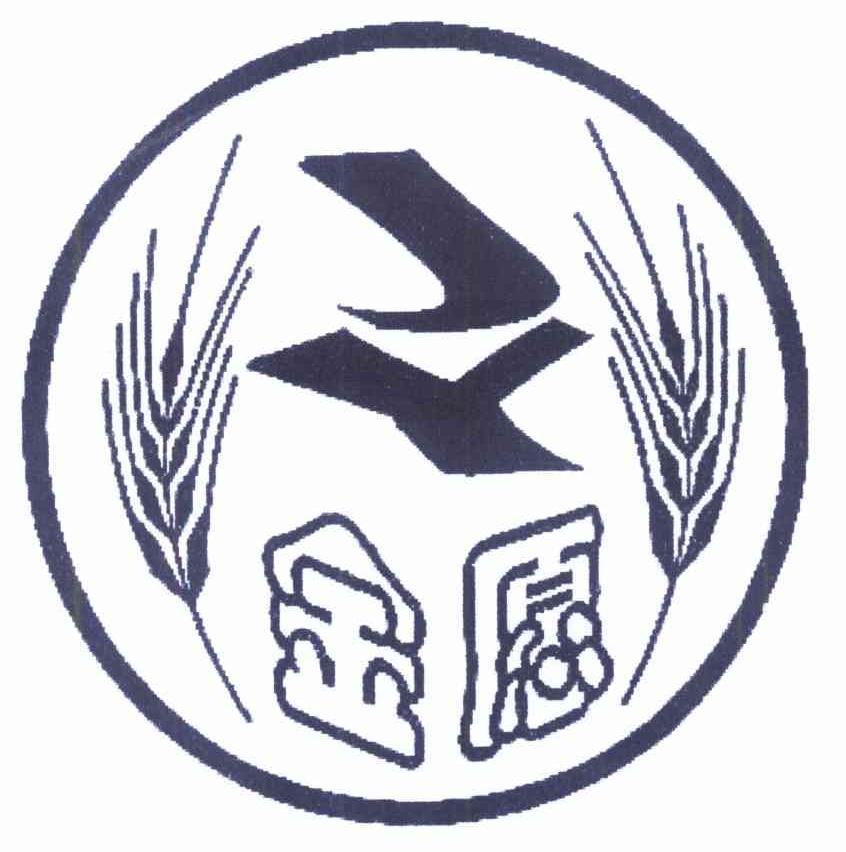金愿 JY