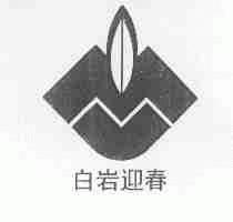 白岩迎春