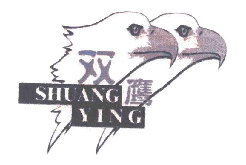 双鹰