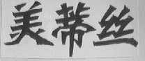 美蒂丝