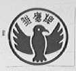 雏鹰