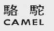 骆驼  CAMEL