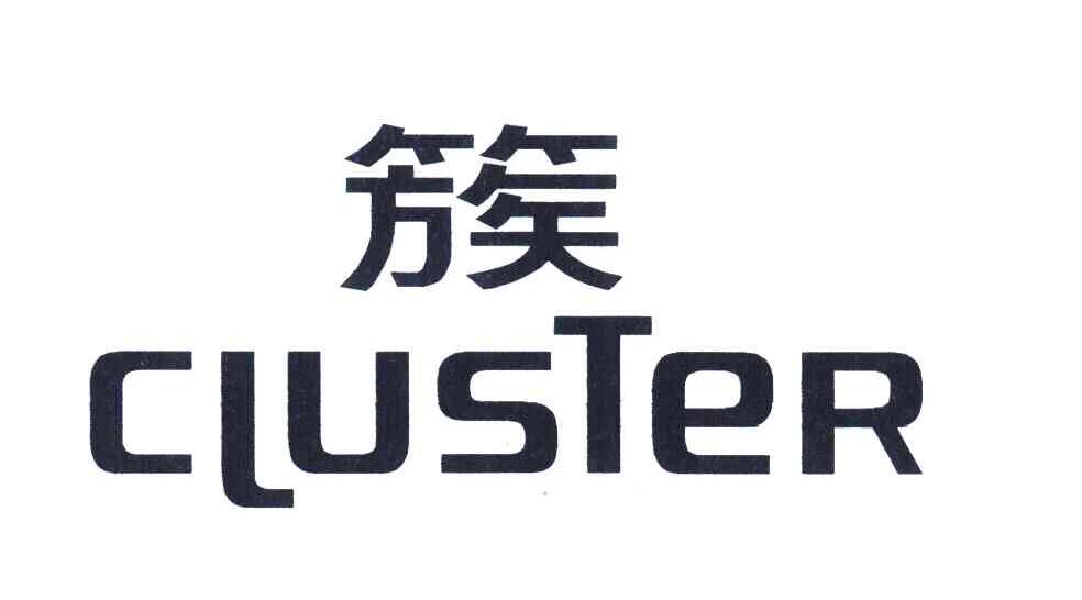 簇;CLUSTER