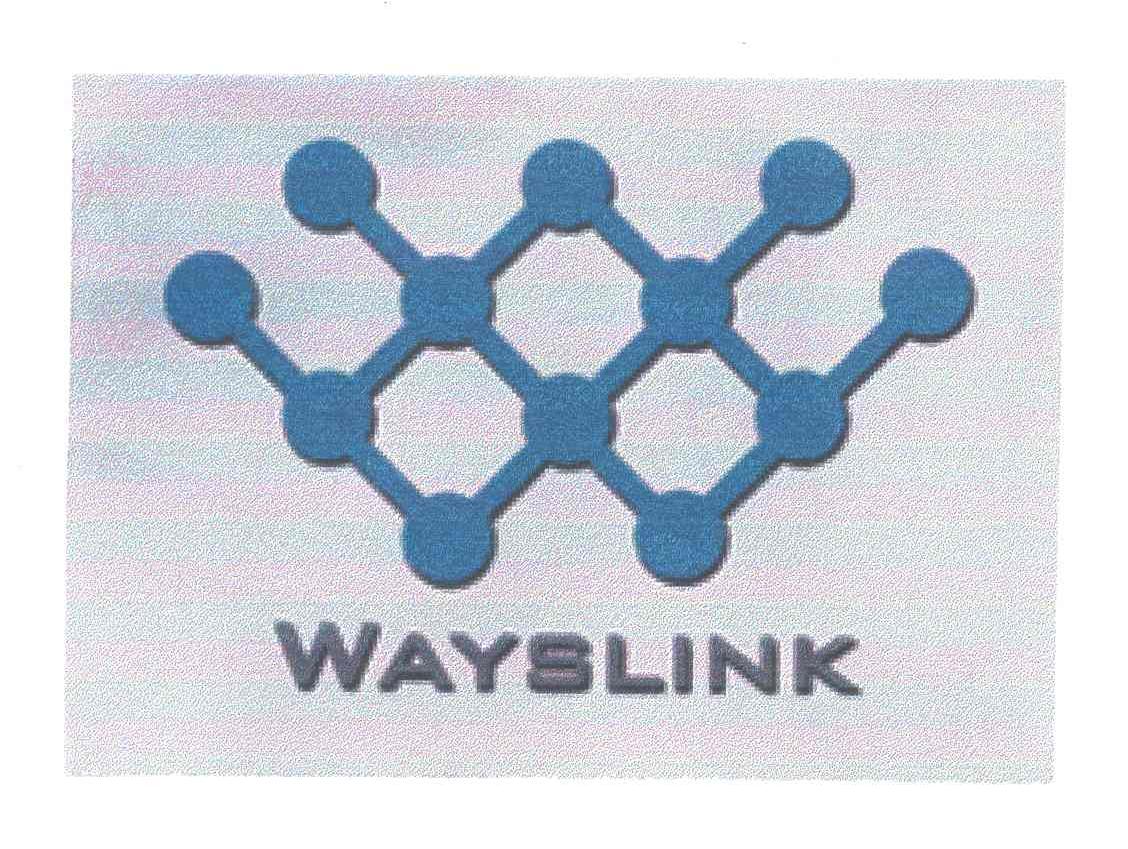 WAYSLINK