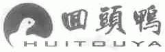 回头鸭