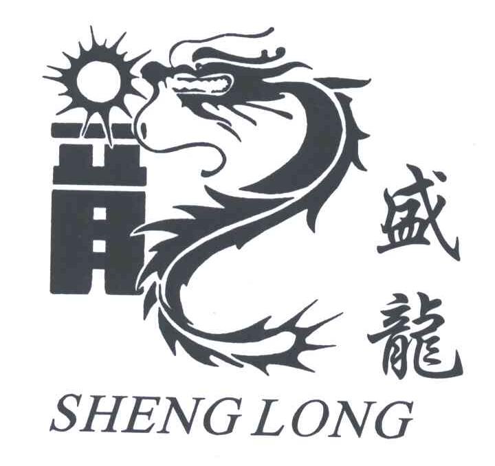 盛龙;SHENG LONG