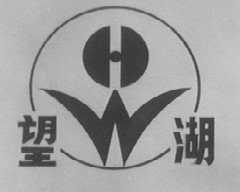 望湖